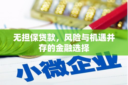 慈利无担保贷款，风险与机遇并存的金融选择