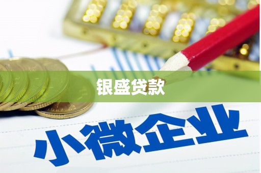 慈利银盛贷款