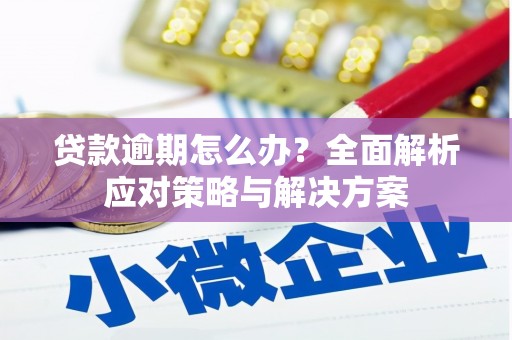 慈利贷款逾期怎么办？全面解析应对策略与解决方案