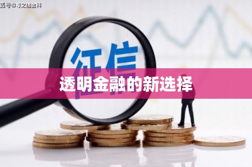 慈利透明金融的新选择