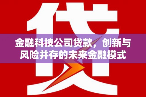 慈利金融科技公司贷款，创新与风险并存的未来金融模式