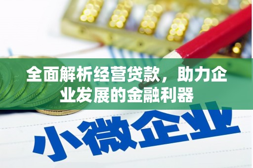 慈利全面解析经营贷款，助力企业发展的金融利器