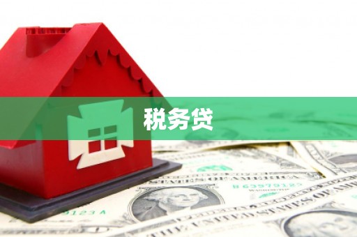 慈利税务贷
