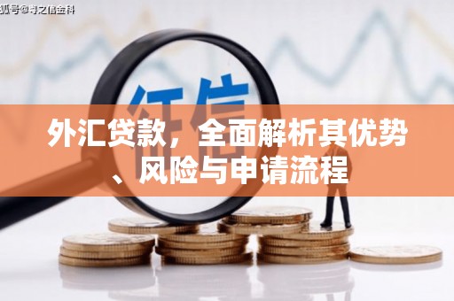 慈利外汇贷款，全面解析其优势、风险与申请流程