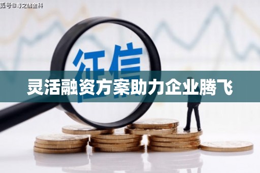 慈利灵活融资方案助力企业腾飞