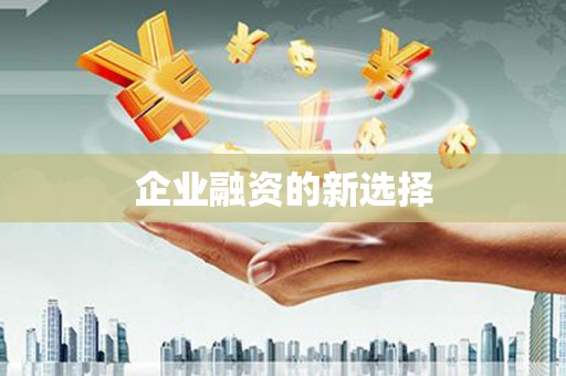 慈利企业融资的新选择
