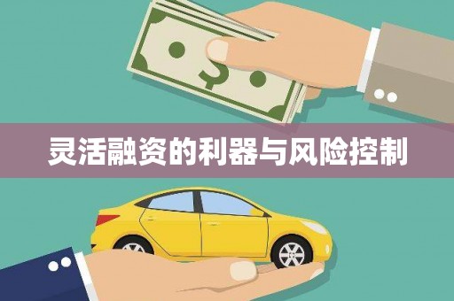 慈利灵活融资的利器与风险控制