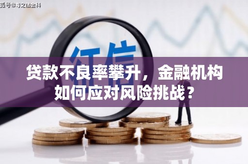 慈利贷款不良率攀升，金融机构如何应对风险挑战？
