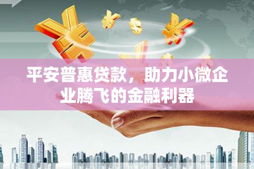 慈利平安普惠贷款，助力小微企业腾飞的金融利器