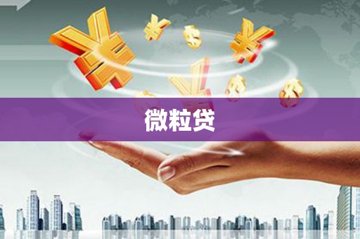 慈利微粒贷