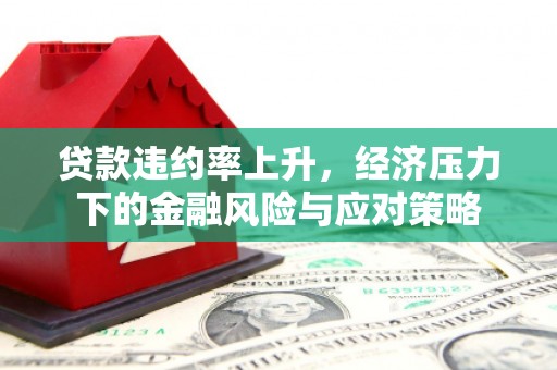 慈利贷款违约率上升，经济压力下的金融风险与应对策略