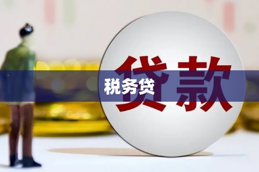 慈利税务贷