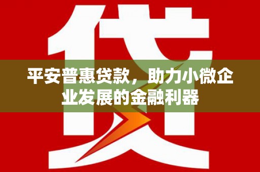 慈利平安普惠贷款，助力小微企业发展的金融利器
