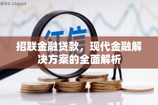 慈利招联金融贷款，现代金融解决方案的全面解析