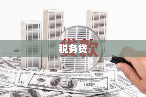 慈利税务贷
