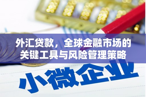 慈利外汇贷款，全球金融市场的关键工具与风险管理策略