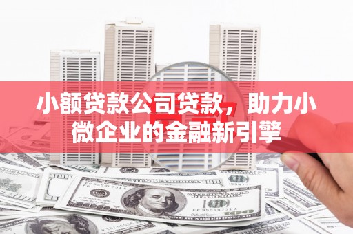 慈利小额贷款公司贷款，助力小微企业的金融新引擎