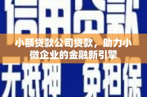 慈利小额贷款公司贷款，助力小微企业的金融新引擎