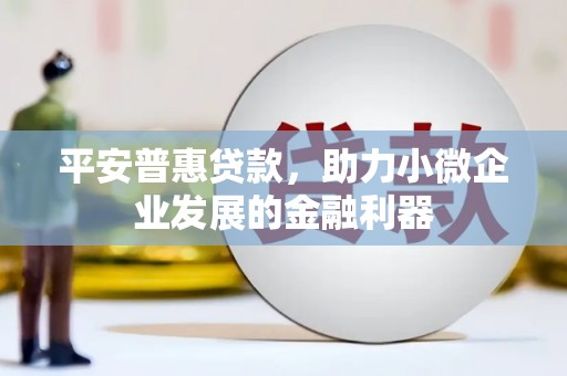 慈利平安普惠贷款，助力小微企业发展的金融利器