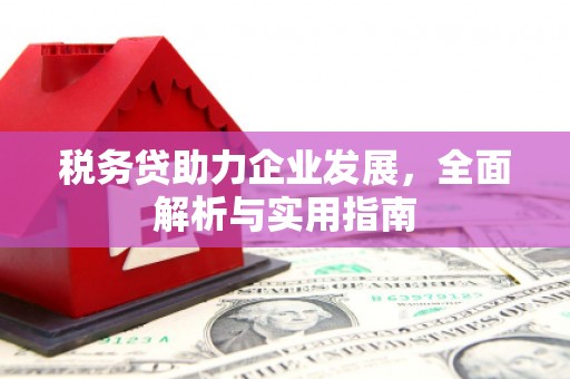 慈利税务贷助力企业发展，全面解析与实用指南