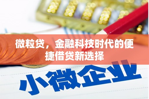 慈利微粒贷，金融科技时代的便捷借贷新选择