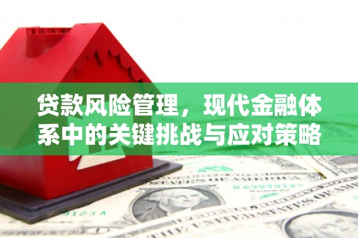 慈利贷款风险管理，现代金融体系中的关键挑战与应对策略