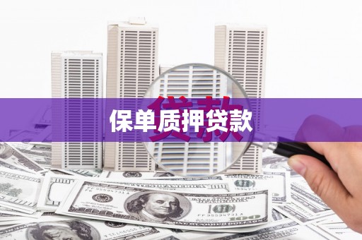 慈利保单质押贷款