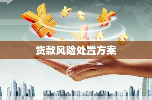 慈利贷款风险处置方案