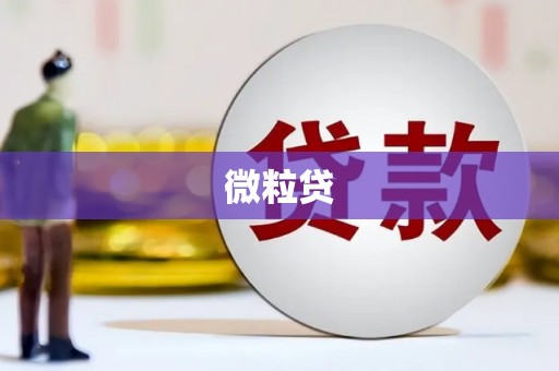慈利微粒贷