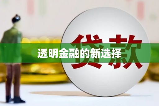 慈利透明金融的新选择