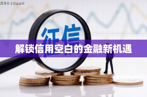 慈利解锁信用空白的金融新机遇