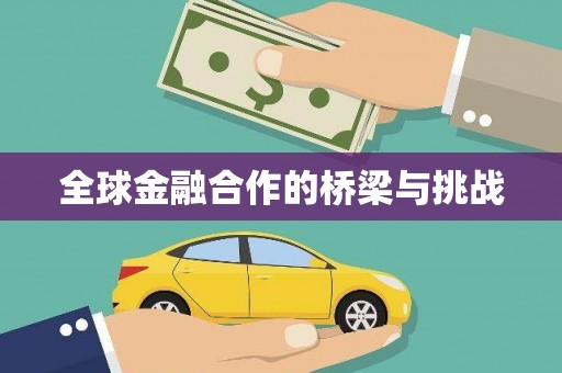 慈利全球金融合作的桥梁与挑战