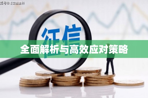 慈利全面解析与高效应对策略