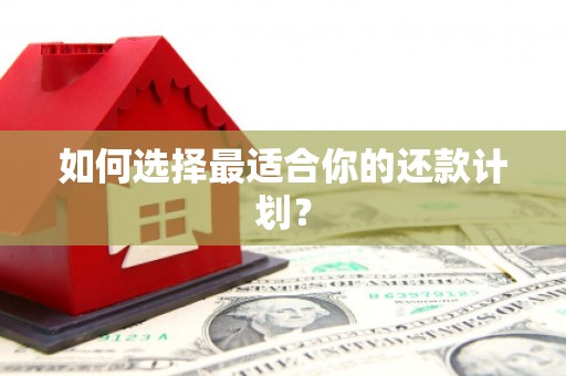 慈利如何选择最适合你的还款计划？