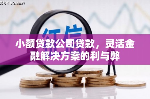 慈利小额贷款公司贷款，灵活金融解决方案的利与弊